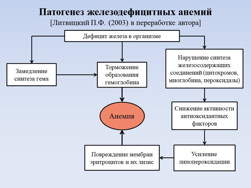 Схема патогенеза пиелонефрита